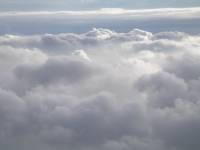 Nikita+Lenore Wedding Toronto - 237